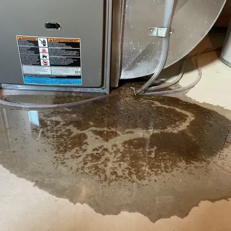 Appliance Leak Cleanup in Nixon, TX